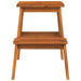 Taburet cu 2 trepte, 40x38x50 cm, lemn masiv de acacia - WALTI WALTI