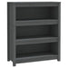 Bibliotecă, gri, 80x35x97 cm, lemn masiv de pin - WALTI WALTI