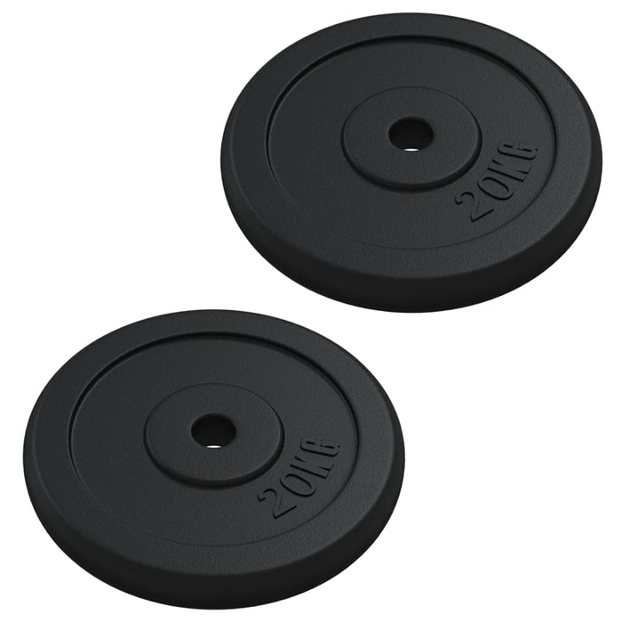 Disc de greutate, 40 kg, fontă - WALTI WALTI