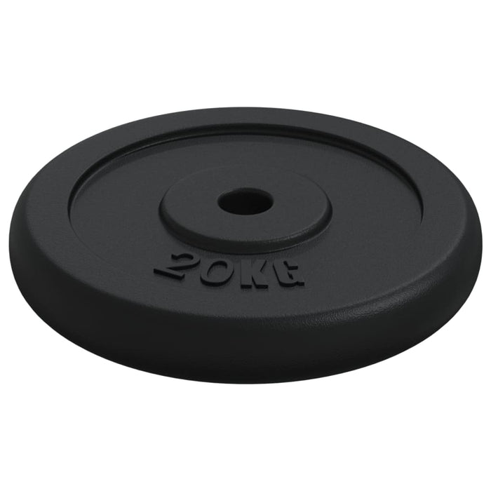 Disc de greutate, 40 kg, fontă - WALTI WALTI