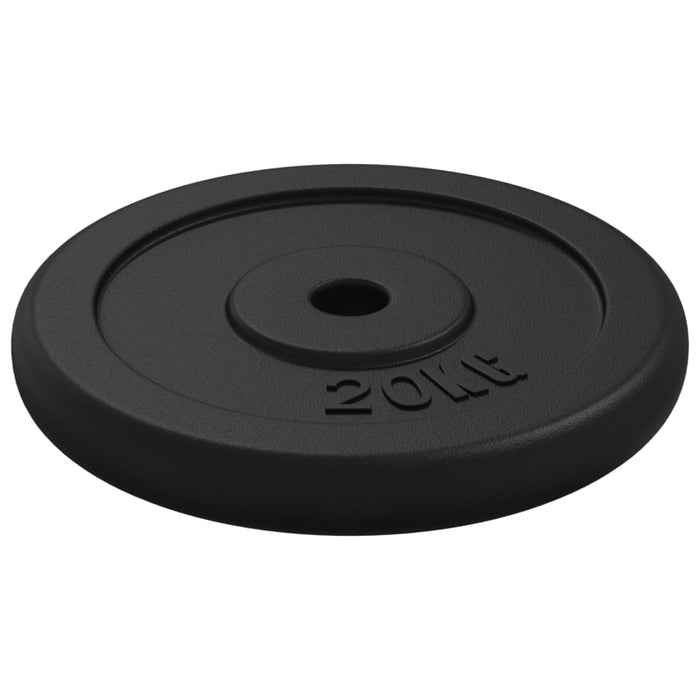 Disc de greutate, 40 kg, fontă - WALTI WALTI