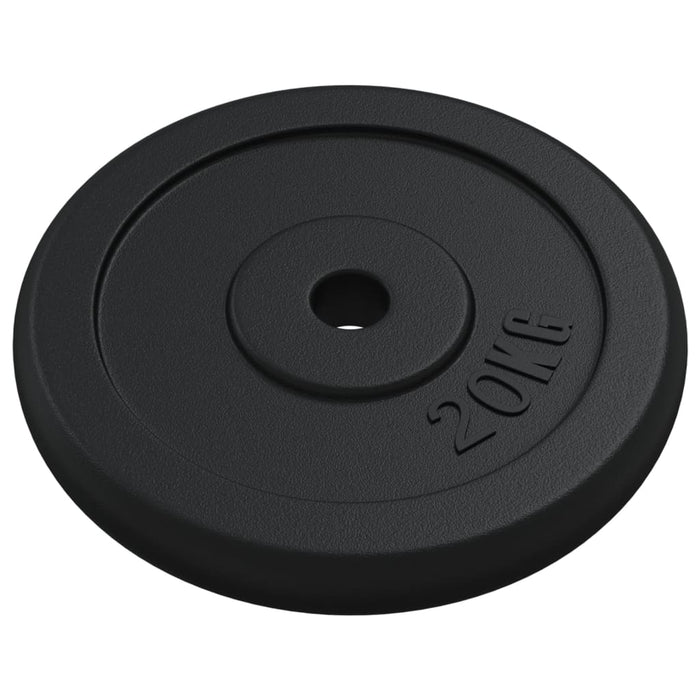Disc de greutate, 40 kg, fontă - WALTI WALTI