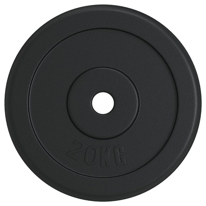 Disc de greutate, 40 kg, fontă - WALTI WALTI