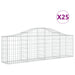 Coșuri gabion arcuite 25 buc, 200x30x60/80 cm, fier galvanizat - WALTI WALTI