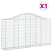 Coșuri gabion arcuite 3 buc, 200x30x100/120 cm fier galvanizat - WALTI WALTI