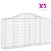 Coșuri gabion arcuite 5 buc, 200x30x100/120 cm fier galvanizat - WALTI WALTI