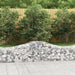 Coșuri gabion arcuite 4 buc, 200x50x40/60 cm, fier galvanizat - WALTI WALTI