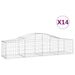 Coșuri gabion arcuite 14 buc, 200x50x40/60 cm, fier galvanizat - WALTI WALTI