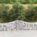Coșuri gabion arcuite 30 buc, 200x50x40/60 cm, fier galvanizat - WALTI WALTI