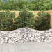 Coșuri gabion arcuite 8 buc, 200x50x60/80 cm, fier galvanizat - WALTI WALTI