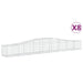 Coșuri gabion arcuite 8 buc, 400x50x40/60 cm, fier galvanizat - WALTI WALTI
