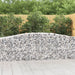Coșuri gabion arcuite 10 buc, 400x50x80/100 cm, fier galvanizat - WALTI WALTI