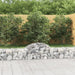 Coșuri gabion arcuite 2 buc, 200x30x40/60 cm, fier galvanizat - WALTI WALTI