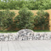 Coșuri gabion arcuite 3 buc, 200x30x40/60 cm, fier galvanizat - WALTI WALTI