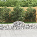 Coșuri gabion arcuite 9 buc, 200x30x40/60 cm, fier galvanizat - WALTI WALTI