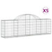 Coșuri gabion arcuite 5 buc, 200x30x60/80 cm, fier galvanizat - WALTI WALTI