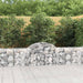 Coșuri gabion arcuite 10 buc, 200x30x60/80 cm, fier galvanizat - WALTI WALTI