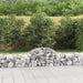 Coșuri gabion arcuite 13 buc, 200x50x40/60 cm, fier galvanizat - WALTI WALTI