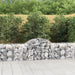 Coșuri gabion arcuite 3 buc, 200x50x60/80 cm, fier galvanizat - WALTI WALTI