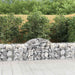 Coșuri gabion arcuite 12 buc, 200x50x60/80 cm, fier galvanizat - WALTI WALTI