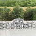 Coșuri gabion arcuite 40 buc, 200x50x60/80 cm, fier galvanizat - WALTI WALTI