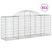 Coșuri gabion arcuite 11 buc, 200x50x80/100 cm, fier galvanizat - WALTI WALTI