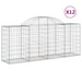 Coșuri gabion arcuite 12 buc, 200x50x80/100 cm, fier galvanizat - WALTI WALTI