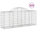 Coșuri gabion arcuite 25 buc, 200x50x80/100 cm, fier galvanizat - WALTI WALTI