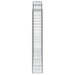 Coșuri gabion arcuite 2 buc, 200x50x180/200 cm, fier galvanizat - WALTI WALTI