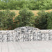 Coșuri gabion arcuite, 7 buc., 300x30x60/80 cm, fier galvanizat - WALTI WALTI