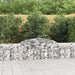 Coșuri gabion arcuite, 8 buc., 300x30x60/80 cm, fier galvanizat - WALTI WALTI