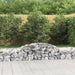 Coșuri gabion arcuite, 20 buc., 300x50x40/60cm, fier galvanizat - WALTI WALTI