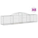 Coșuri gabion arcuite 8 buc, 300x50x60/80 cm, fier galvanizat - WALTI WALTI