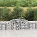 Coșuri gabion arcuite 8 buc, 300x50x60/80 cm, fier galvanizat - WALTI WALTI