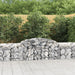 Coșuri gabion arcuite 12 buc, 300x50x60/80 cm, fier galvanizat - WALTI WALTI