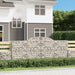 Coșuri gabion arcuite 12 buc. 300x50x120/140 cm fier galvanizat - WALTI WALTI