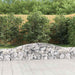 Coșuri gabion arcuite 2 buc, 400x30x40/60 cm, fier galvanizat - WALTI WALTI