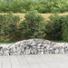 Coșuri gabion arcuite 6 buc, 400x50x40/60 cm, fier galvanizat - WALTI WALTI