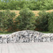Coșuri gabion arcuite 7 buc, 400x50x40/60 cm, fier galvanizat - WALTI WALTI