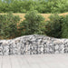 Coșuri gabion arcuite 8 buc, 400x50x60/80 cm, fier galvanizat - WALTI WALTI