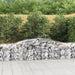 Coșuri gabion arcuite 25 buc, 400x50x60/80 cm, fier galvanizat - WALTI WALTI