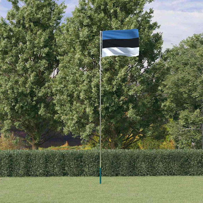 Steag Estonia și stâlp din aluminiu, 5,5 m WALTI