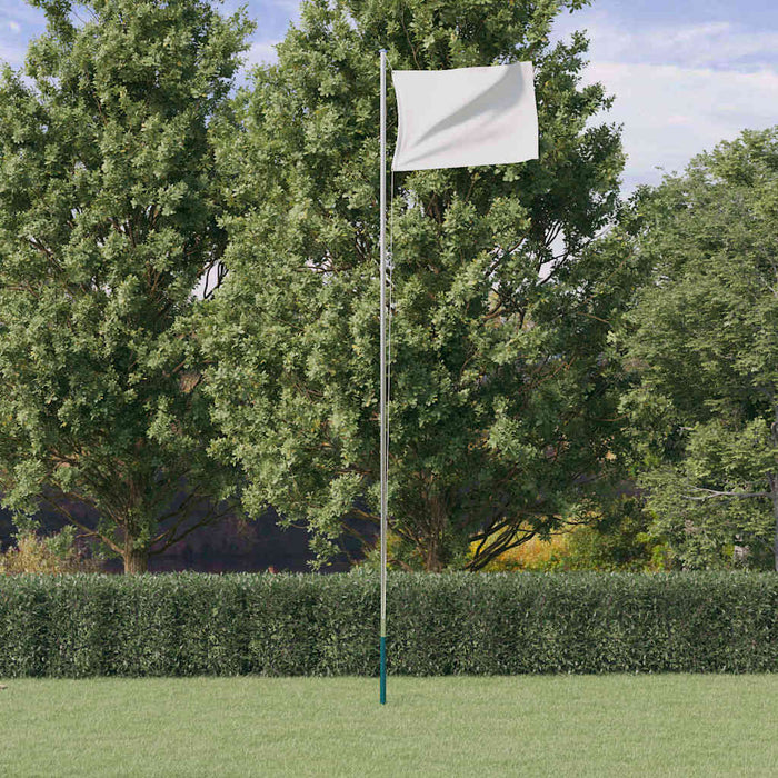 Stâlp de steag telescopic, argintiu, 6,08 m, aluminiu WALTI