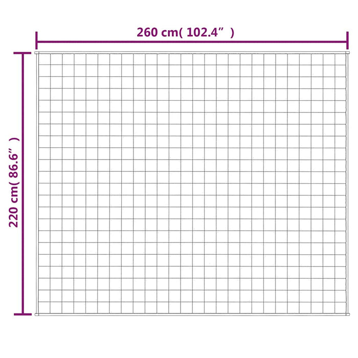 Pătură cu greutăți, crem deschis, 220x260 cm, 11 kg, textil - WALTI WALTI
