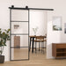 Ușă glisantă cu set feronerie, 76x205 cm, sticlă ESG/aluminiu - WALTI WALTI