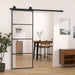 Ușă glisantă cu set feronerie, 76x205 cm, sticlă ESG/aluminiu - WALTI WALTI