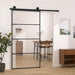 Ușă glisantă cu set feronerie 102,5x205 cm sticlă ESG/aluminiu - WALTI WALTI