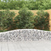 Coș gabion arcuit 400x50x40/60 cm fier galvanizat - WALTI WALTI