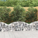 Coș gabion arcuit, 150x30x40/60 cm, fier galvanizat - WALTI WALTI