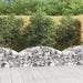 Coș gabion arcuit, 150x50x40/60 cm, fier galvanizat - WALTI WALTI